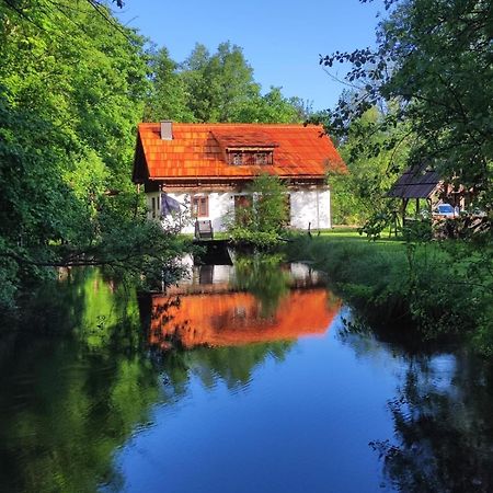 Ferienhaus Klopeinersee Kaernten Sittersdorf Extérieur photo