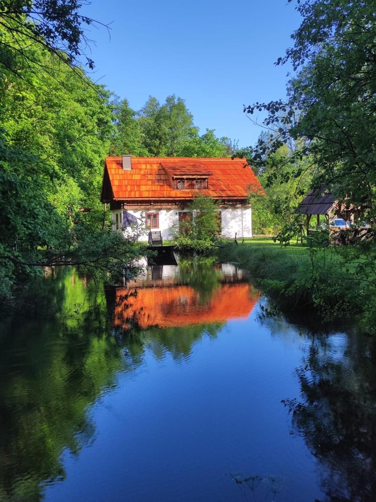 Ferienhaus Klopeinersee Kaernten Sittersdorf Extérieur photo